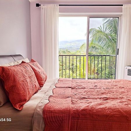 Victoria House Hostel San Isidro De El General Εξωτερικό φωτογραφία